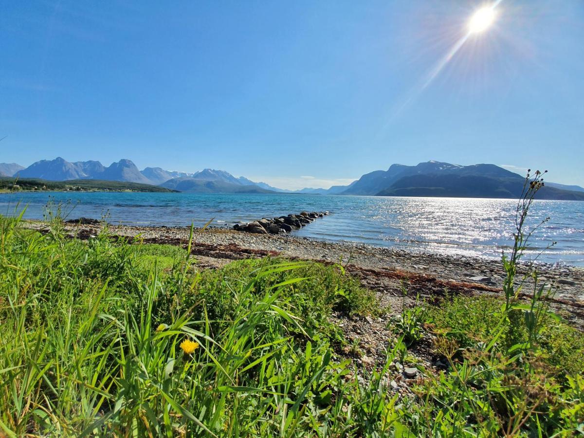 Slettvold Lyngen