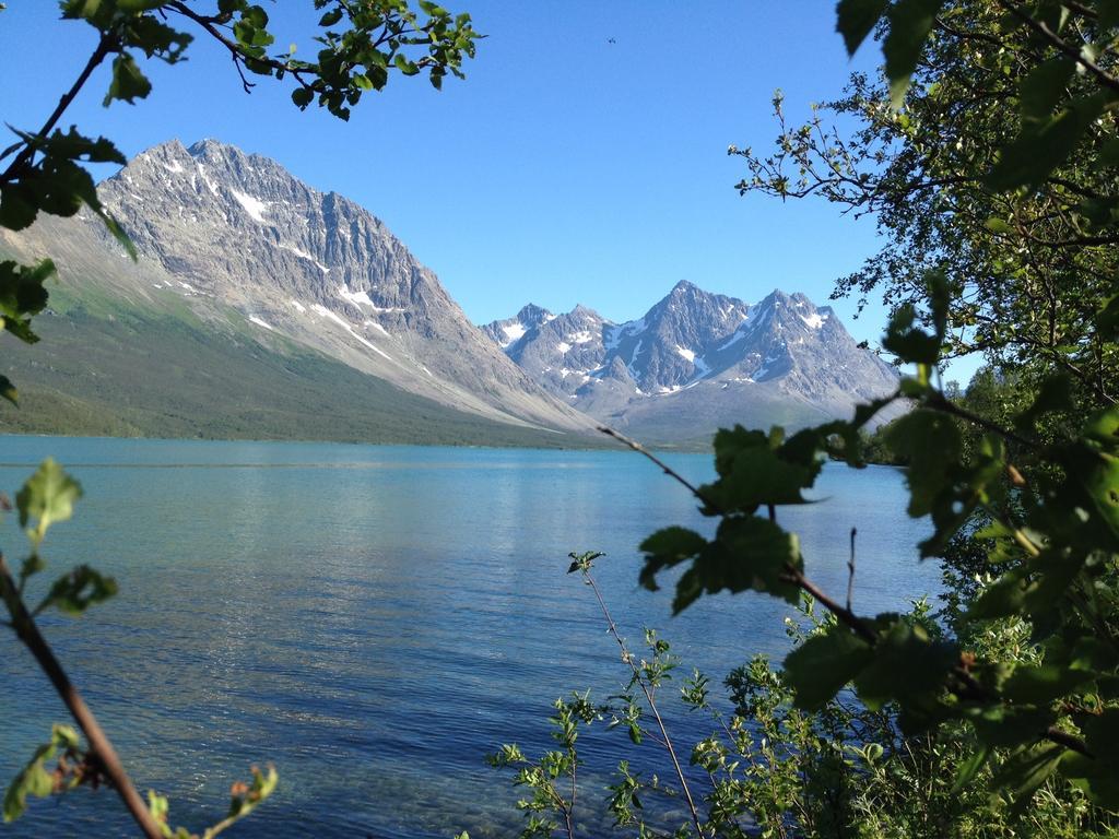 Slettvold Lyngen *